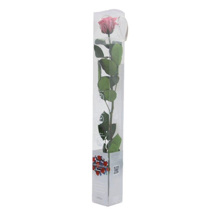 Shop Preserved Roses with Stems - Standard Size Roses - Verdissimo USA