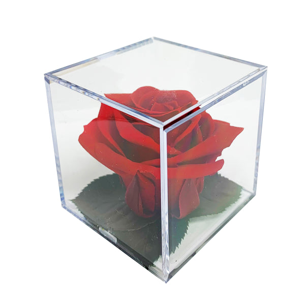 Preserved Roses in Acrylic Cubes - Verdissimo USA | Verdissimo USA